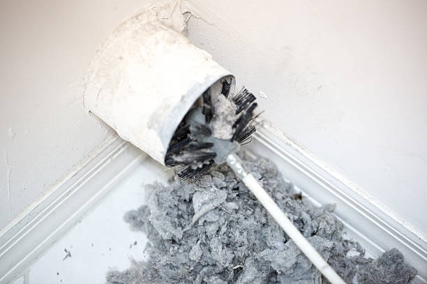 Best Professional Duct Cleaning Services  in Kapn, LA